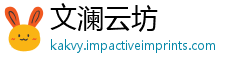 文澜云坊